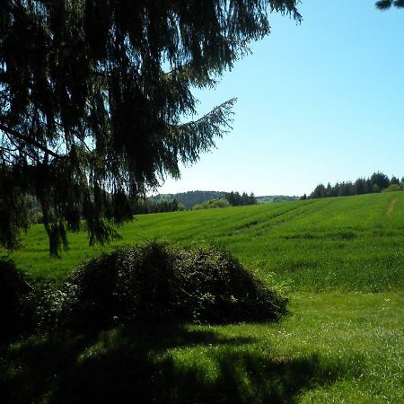 Blick in die Südeifel Biersdorf Exterior foto