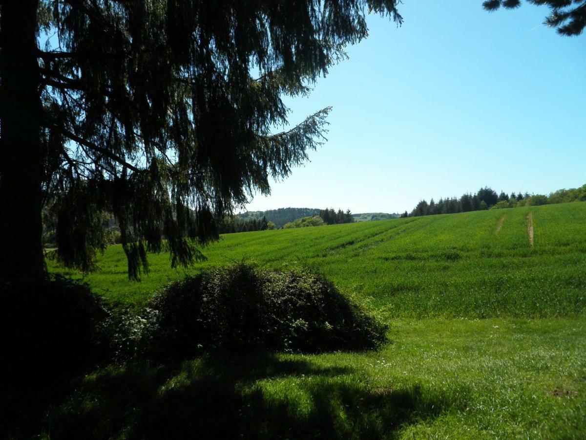 Blick in die Südeifel Biersdorf Exterior foto