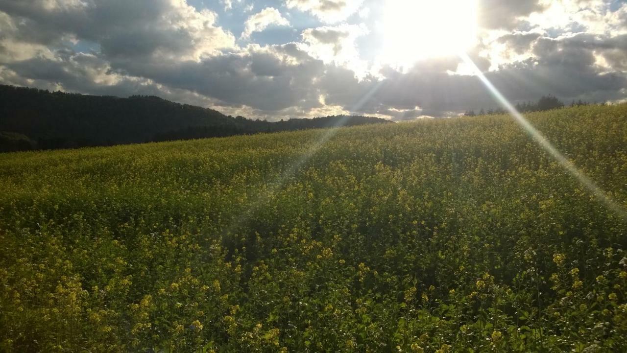 Blick in die Südeifel Biersdorf Exterior foto